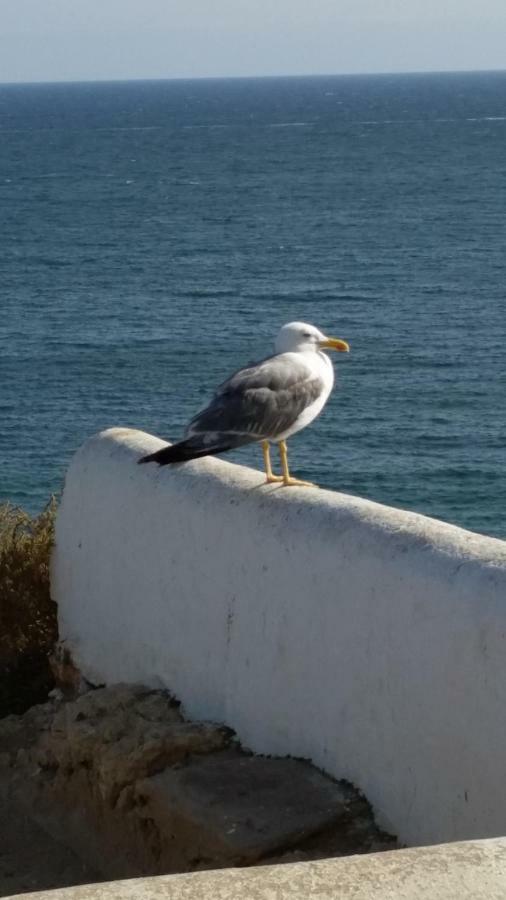 Algarve/Sra Da Rocha Διαμέρισμα Porches  Εξωτερικό φωτογραφία